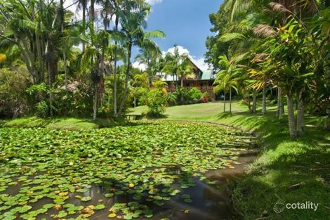 41 Melaleuca Dr, Mullumbimby, NSW 2482