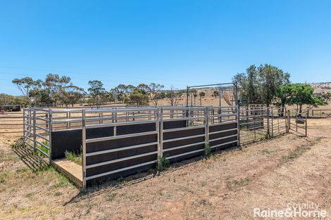 Property photo of 101 Burnside Road Strathalbyn SA 5255