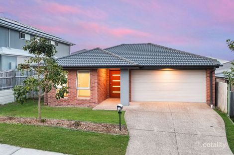 Property photo of 36 Stringybark Street Spring Mountain QLD 4300