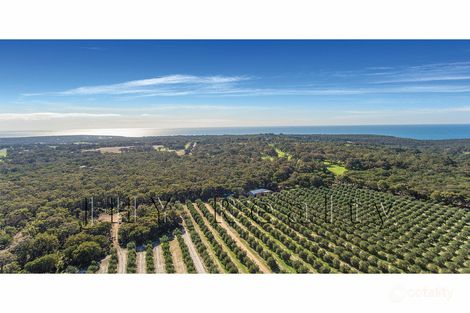 Property photo of 619 Cape Naturaliste Road Naturaliste WA 6281