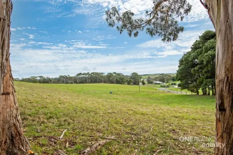 Property photo of 152 Faheys Lane Irishtown TAS 7330