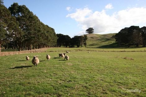 39 Johns Hill Rd, Irishtown, TAS 7330