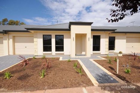 17 Mattson Ave, Warradale, SA 5046