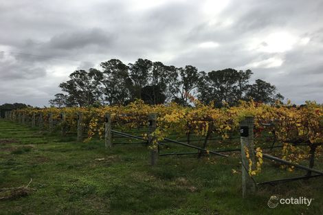 Property photo of 112 Old Comaum Road Coonawarra SA 5263