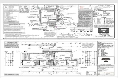 Property photo of 6 Bibb Avenue Cobbitty NSW 2570