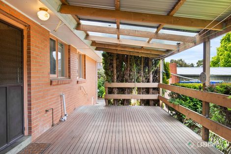 Property photo of 19 Crest Grove Nunawading VIC 3131