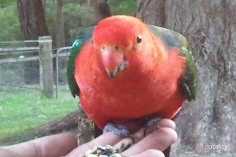 251 Dee Rd, Millgrove, VIC 3799