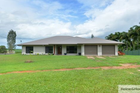 Property photo of 109 Finlayvale Road Mossman QLD 4873