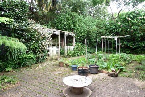 Property photo of 2B Service Avenue Ashfield NSW 2131