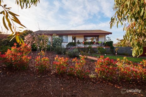 Property photo of 17 Parer Street Scullin ACT 2614
