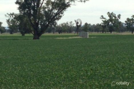 Property photo of 390 Prices Road Bective NSW 2340