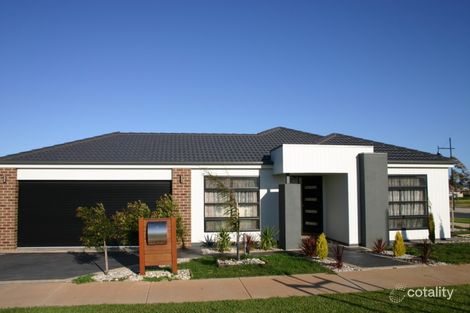 Property photo of 41 Boree Drive Swan Hill VIC 3585