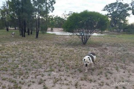 Property photo of 275 Males Drive Tara QLD 4421