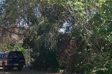 Property photo of 254 Torquay Terrace Torquay QLD 4655