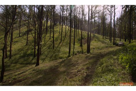 Property photo of 8 Bobin Creek Road Bobin NSW 2429