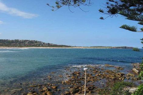 Property photo of 3/15 Lismore Avenue Dee Why NSW 2099