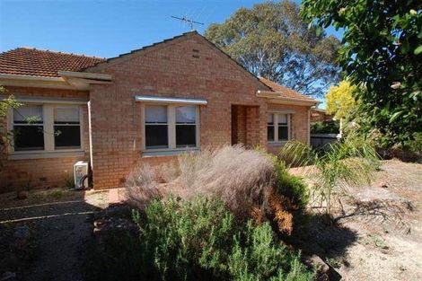 Property photo of 36 Conmurra Avenue Edwardstown SA 5039