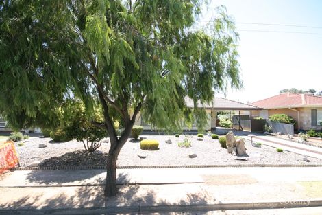 26 Ansett Ave, Netley, SA 5037