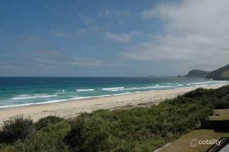 Property photo of 8 Newman Avenue Blueys Beach NSW 2428