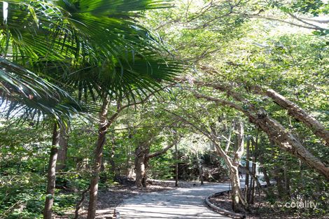 Property photo of 1 Bellbird Court Wurtulla QLD 4575