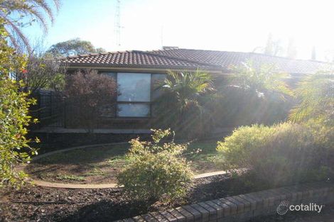 Property photo of 11 Higgins Court Risdon Park South SA 5540