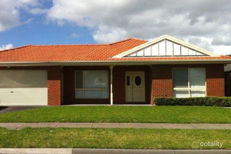 36 Seaview Ave, Safety Beach, VIC 3936