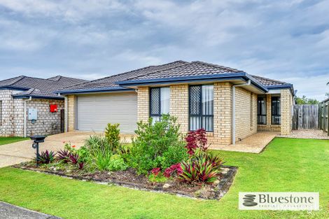 Property photo of 22 Nutmeg Drive Griffin QLD 4503