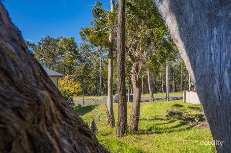 Property photo of 24 Weller Street Fletcher NSW 2287