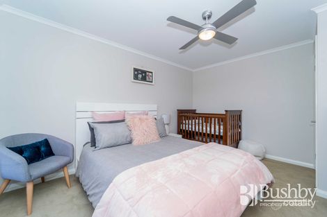 Property photo of 8 Maria Street Bracknell TAS 7302