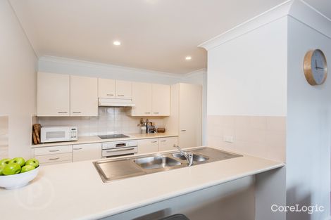 Property photo of 14 Leura Avenue Hawthorne QLD 4171