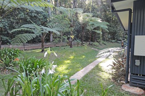 Property photo of 95 Figtree Close Malanda QLD 4885