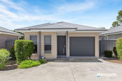 4/40 Diamond Cct, Rutherford, NSW 2320