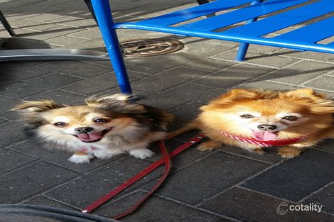 17 Hart St, Semaphore, SA 5019