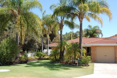 Property photo of 11A D'Alonzo Place Balcatta WA 6021