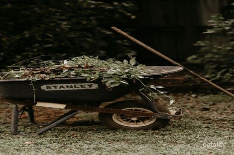 4 Parkpine Dr, Palmwoods, QLD 4555