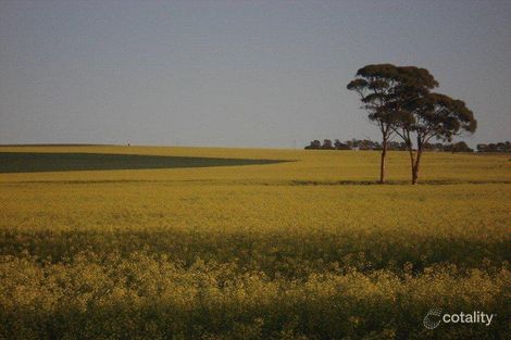 101 Bartlett Rd, Watheroo, WA 6513