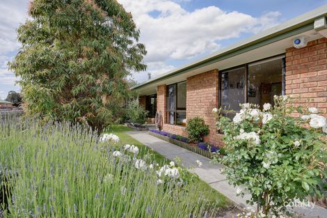 Property photo of 10 Dodges Court Sorell TAS 7172