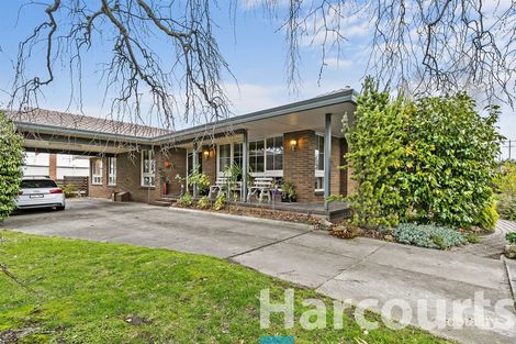 701 Dana St, Ballarat Central, VIC 3350