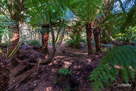 Property photo of 150 Cascade Dam Road Derby TAS 7264