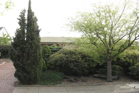 11 Greenridge Ct, Wynn Vale, SA 5127