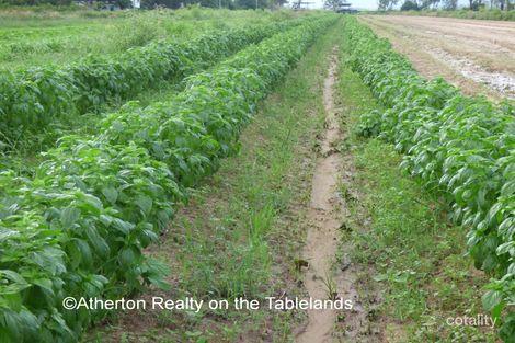 123 Malone Rd, Mareeba, QLD 4880