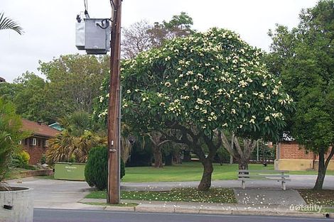 71 Fitzroy St, Grafton, NSW 2460