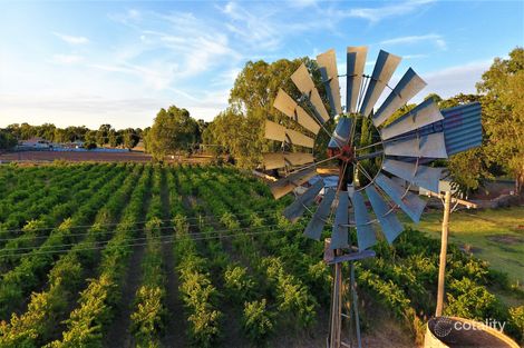 8712 Lachlan Valley Way, Forbes, NSW 2871