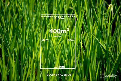 10 Blayney St, Kalkallo, VIC 3064