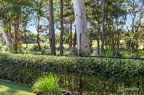 Property photo of 22 Lakeside Drive Peregian Springs QLD 4573