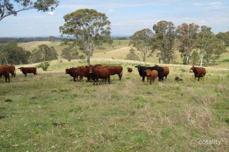 41 Battistuzzi Rd, Spring Grove, NSW 2470