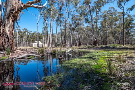 1261e Ten Mile Rd, Deepwater, NSW 2371