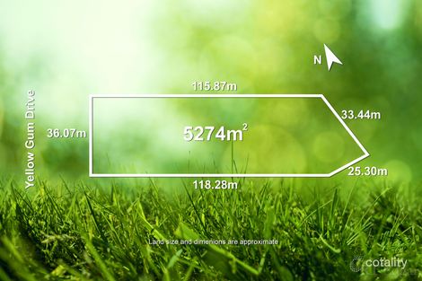 Property photo of 10-12 Yellow Gum Drive Ocean Grove VIC 3226