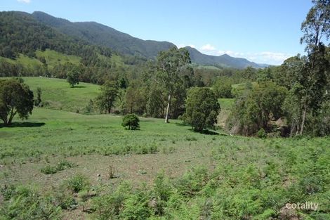 497 Curricabark Rd, Coneac, NSW 2422