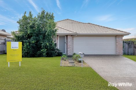Property photo of 3 Newhaven Street Marsden QLD 4132